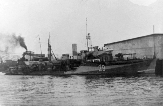 Пограничный сторожевой корабль ВМФ СССР Бриллиант проекта 43