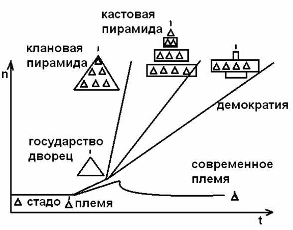 Стадо и племя. иерархическая структура - пирамидальная