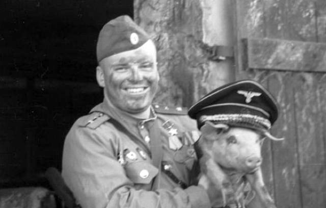 war pig foto photo WW2 WWII