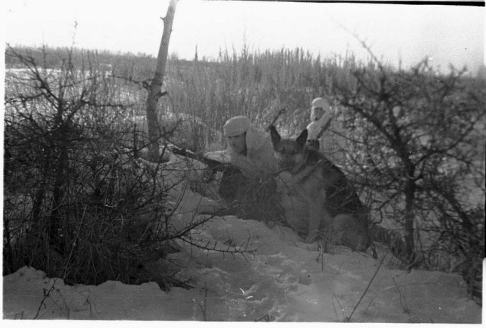 sowjetischen Truppen im Winter Tarnung, Shepherd foto
