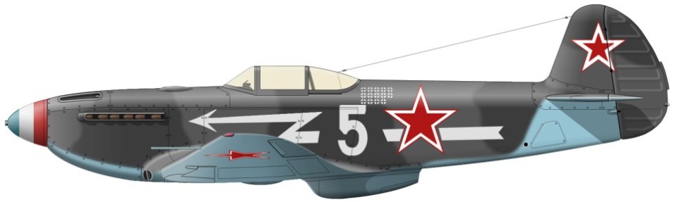 триколор лотарингский крест на киле фото авиация Великой Отечественной войны бортовая живопись Normandia Neman number 5 WWII image