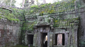 foto Angkor Thom - Les arbres poussent sur les murs et les toits