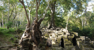 foto photo фото Angkor Ta Prohm - Temples and Jungles
