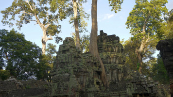 фото Angkor Ta Prohm (Та Пром)