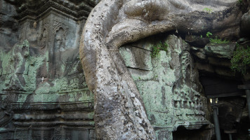 foto  Angkor TaProhm