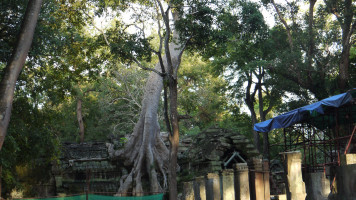 photo Ta Prohm Angkor 